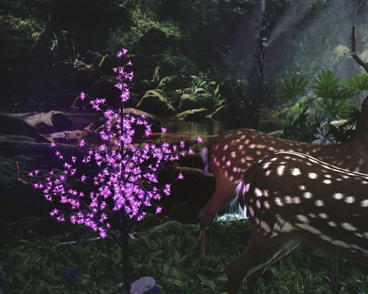 Five Nights, Aquarium 5
