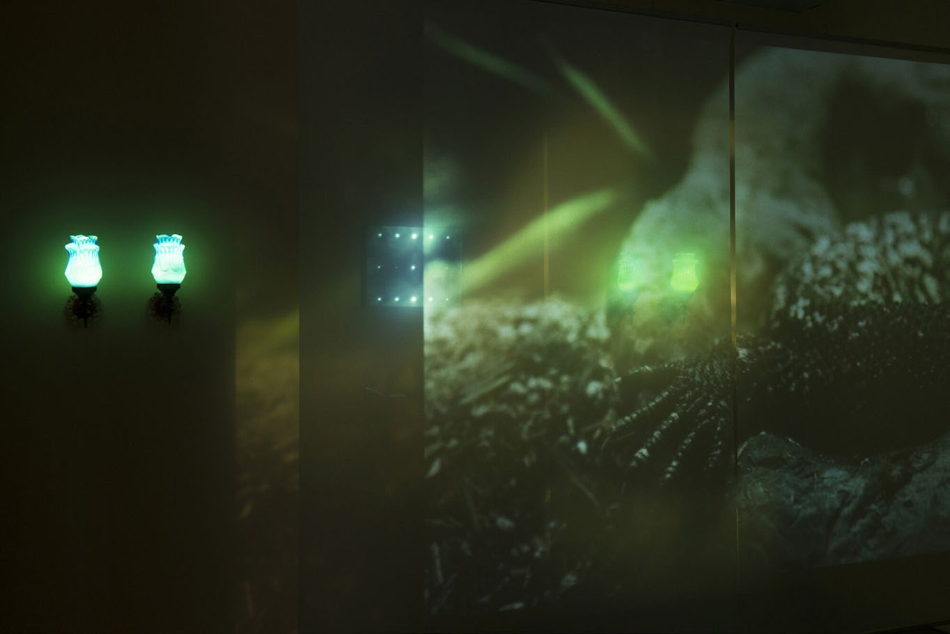 SubSurface saṃsvedaja 3