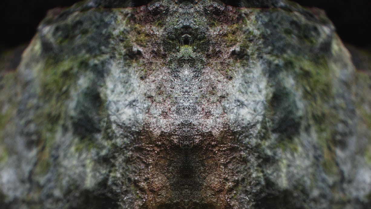 SubSurface saṃsvedaja 6