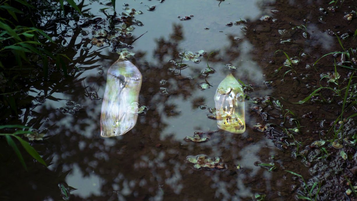 SubSurface saṃsvedaja 8