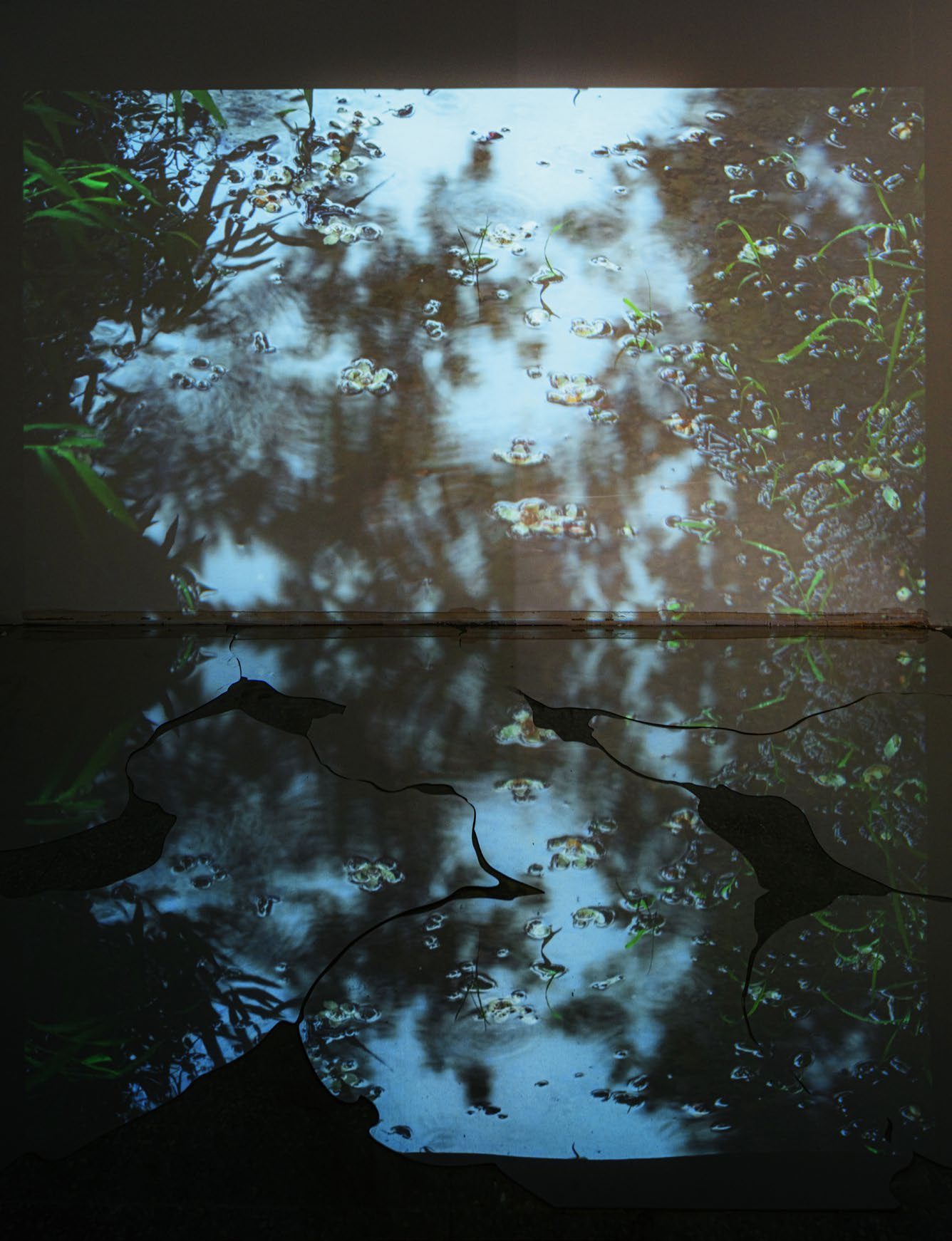 SubSurface saṃsvedaja 9