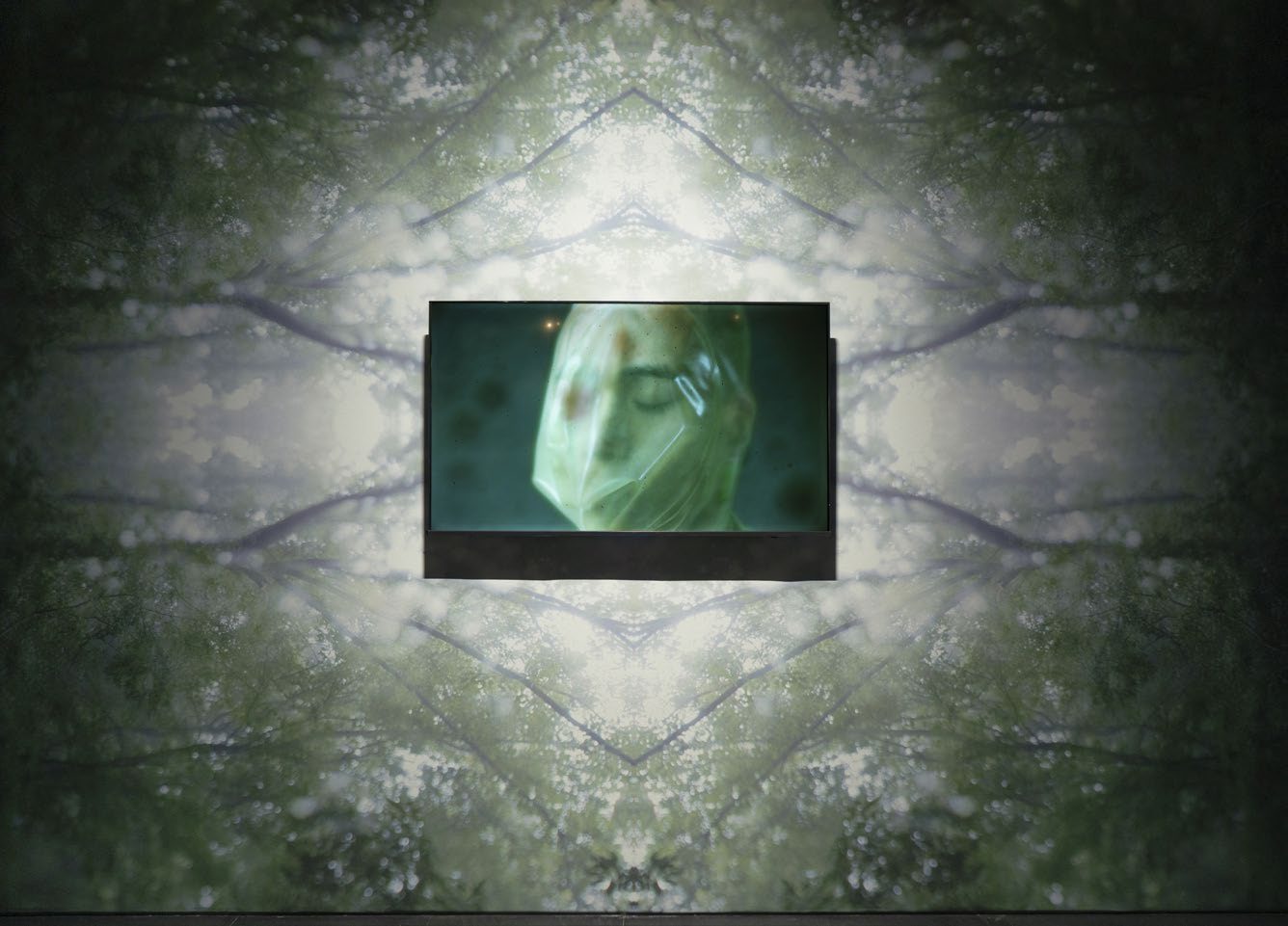 SubSurface saṃsvedaja 10