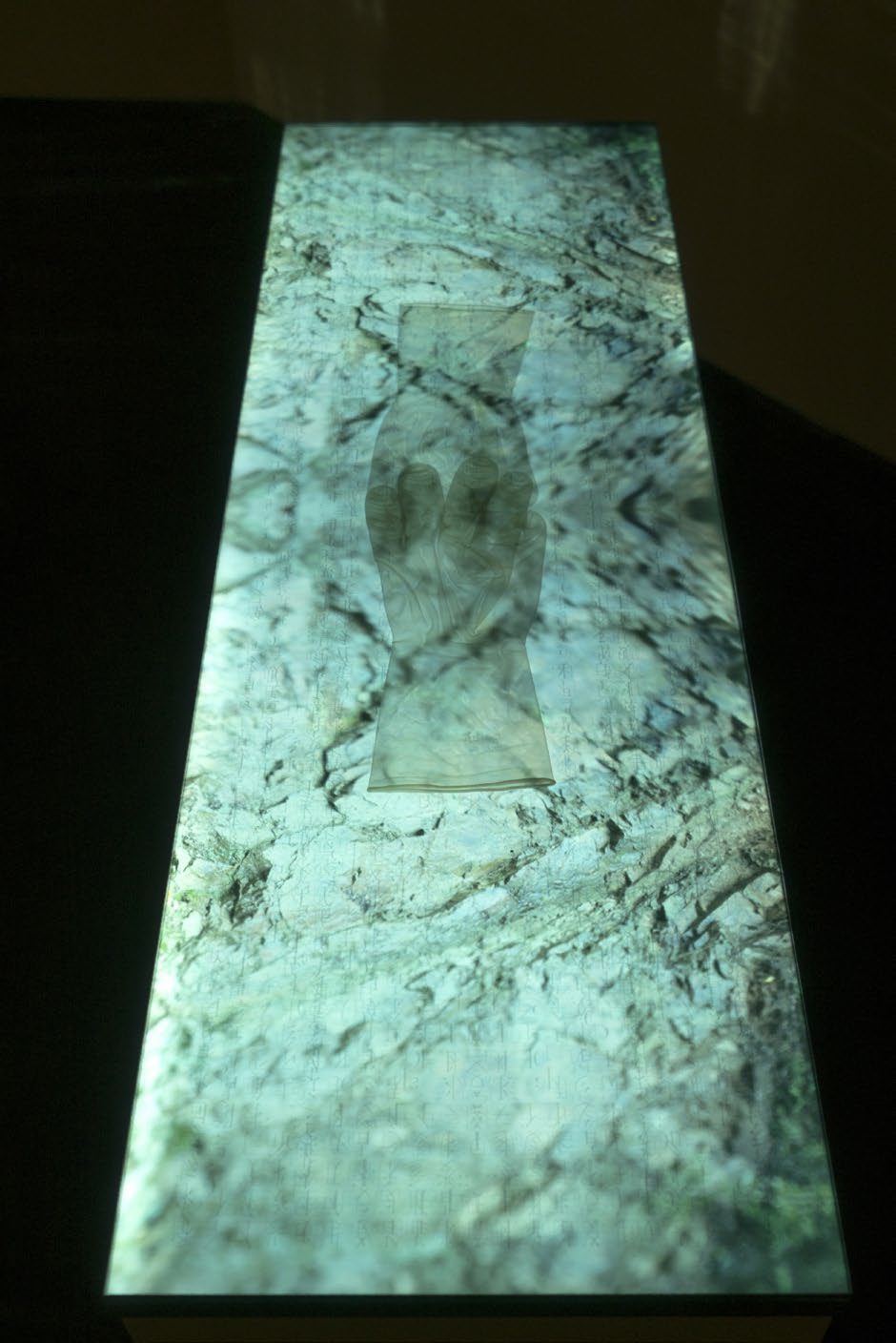 SubSurface saṃsvedaja 13