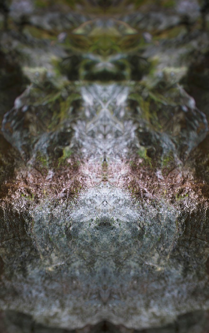 SubSurface saṃsvedaja 14